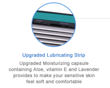 Lubricant strip